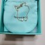 Tiffany & Co 蒂芬妮